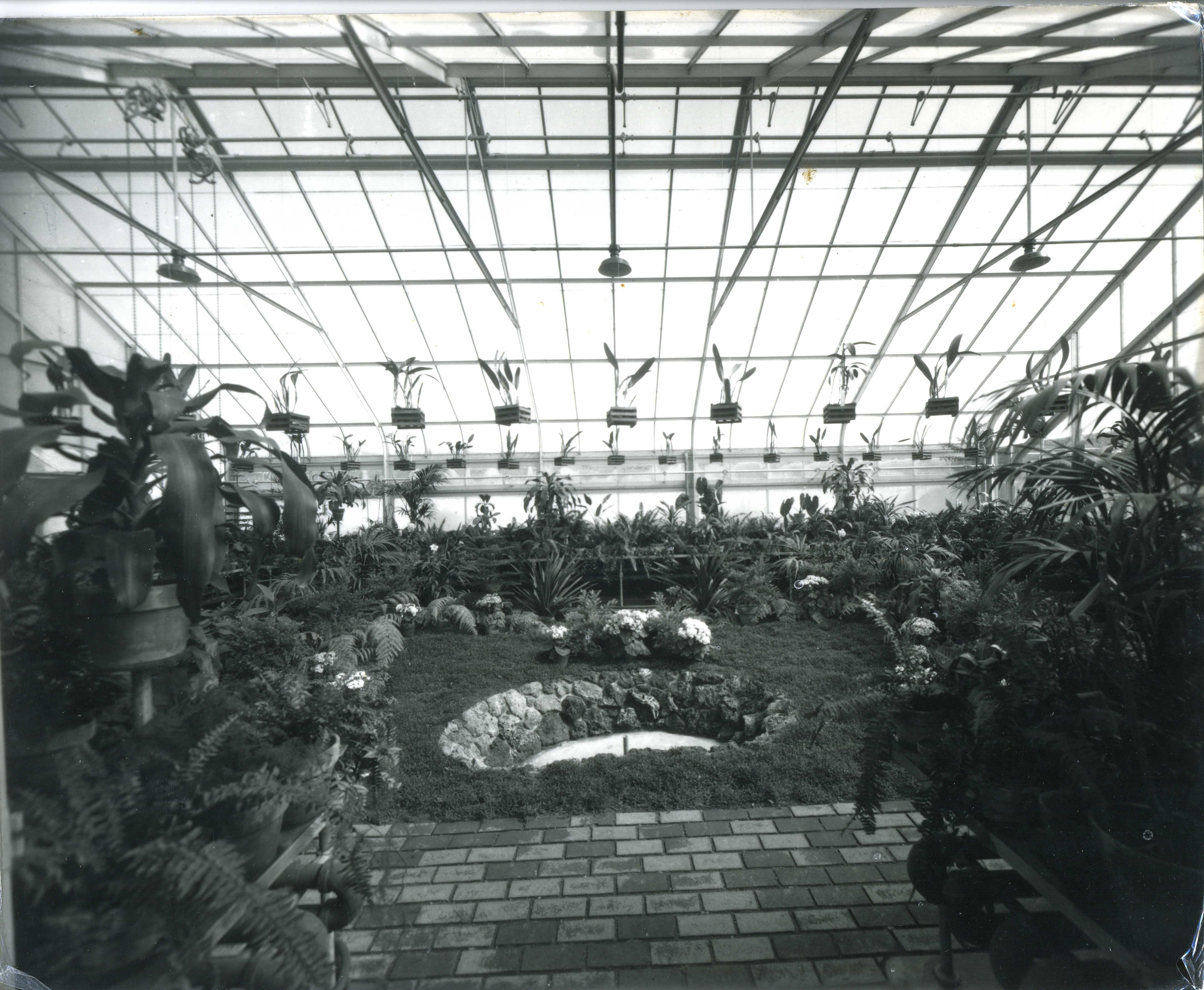 Greenhouse Interior Pond