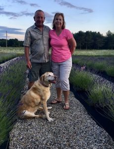 Owners of Shades of Lavender Farm in Mattawan, MI