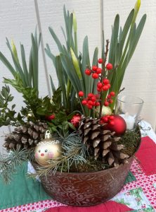 A holiday arrangement of daffodils, pine cones, berries, and evergreen foliage in a shallow pot.